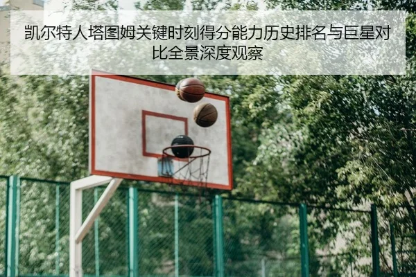 img_1781024059630_1452_1_647.jpg